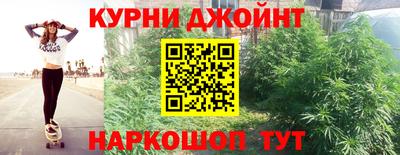 PSILOCYBIN Кулебаки