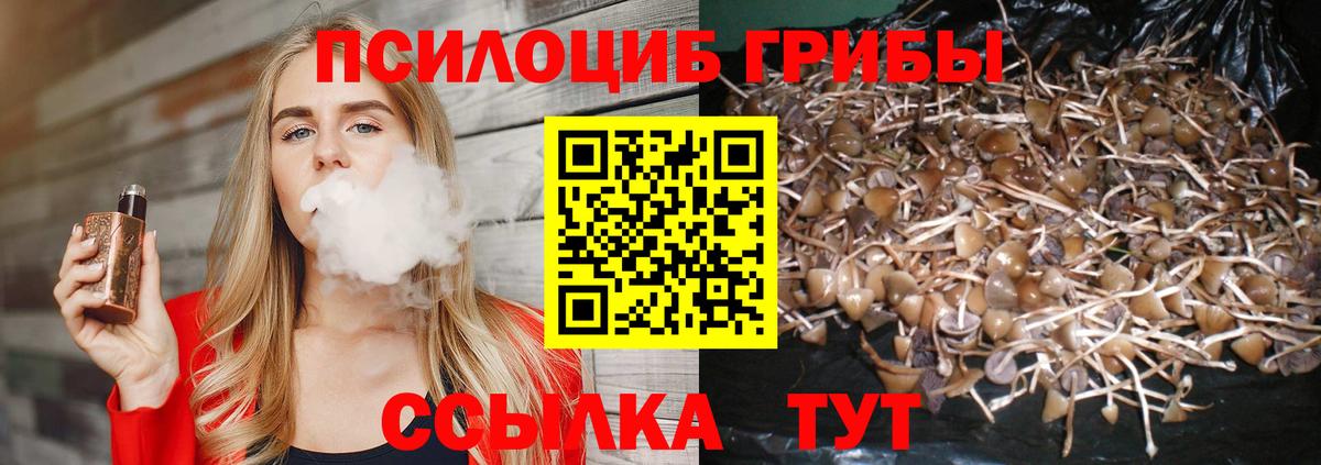 Галлюциногенные грибы Cubensis Канаш