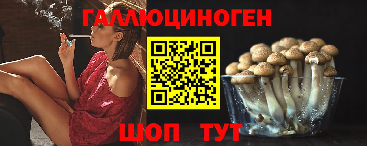 Галлюциногенные грибы Cubensis  Галлюциногенные грибы Cubensis  Канаш  Вход с VPN 